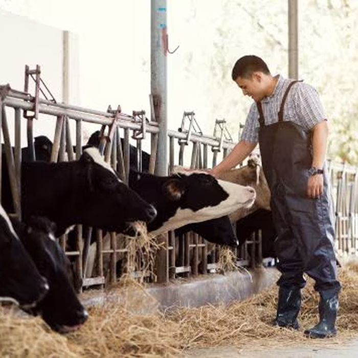 الشريك المصري المعتمد  في صحة الإنسان والحيوان