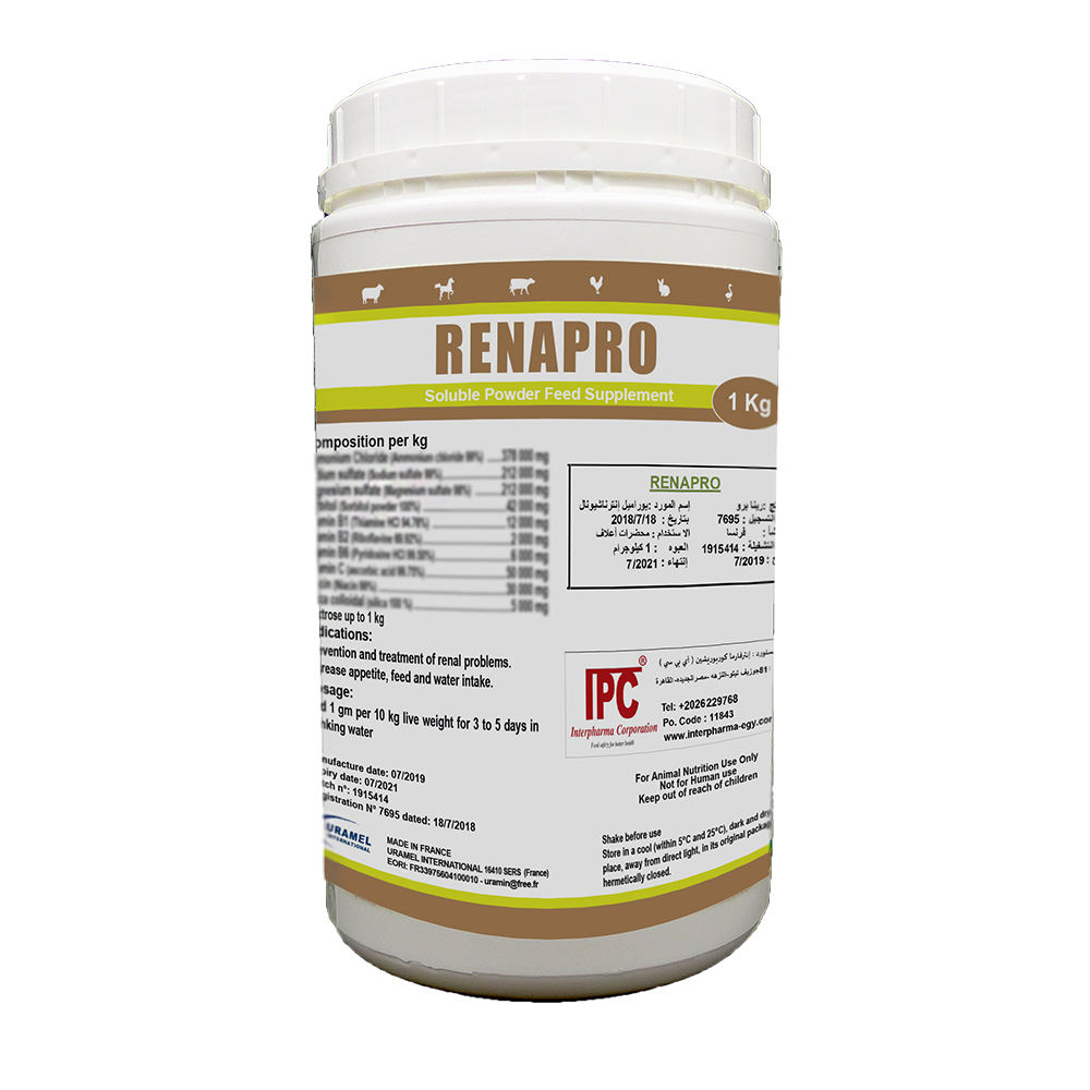 رينو برو (Renapro)